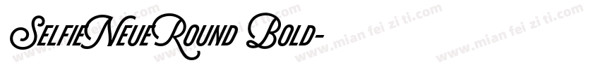 SelfieNeueRound Bold字体转换